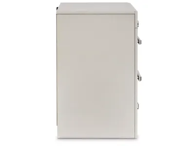 Signature Design by Ashley Zyniden Queen Panel Bed and Nightstand - B2114B23