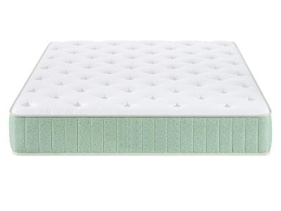 Primo International Honey Tight Top Queen Mattress