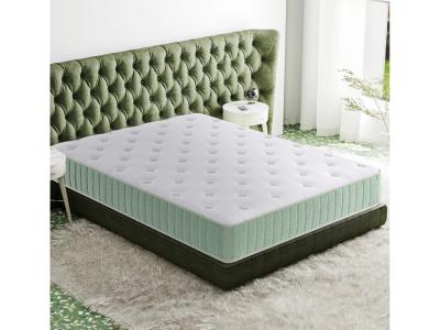 Primo International Honey Tight Top Queen Mattress