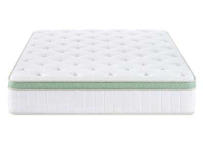 Primo International Ginseng Euro Top Twin Mattress