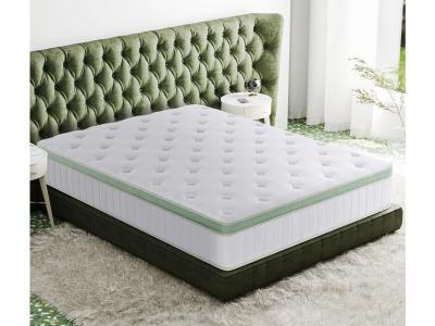 Primo International Ginseng Euro Top Twin Mattress