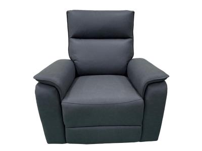 Wellbe Chair in Jaxxon Smoke - C-WELLBE-CHAIR