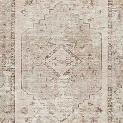 Signature Design by Ashley Livdon Washable Large Rug - R407911
