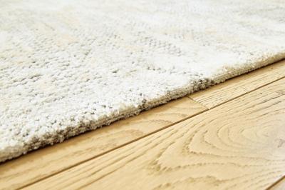 Signature Design by Ashley Raif Extra Large Rug - R408080