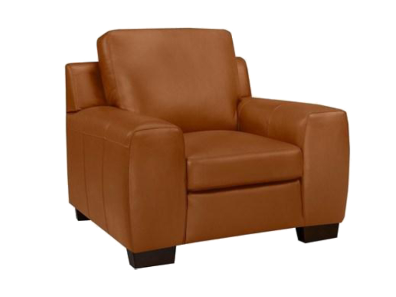 Vantage Leather Chair - 1003-01-Saddle