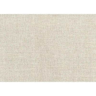 Adriano Collection Accent Chair with the Textured Fabric - 1217F4S