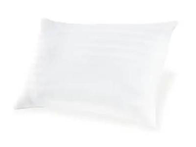 Ashley Sleep Zephyr 2.0 Standard Pillow - M52110