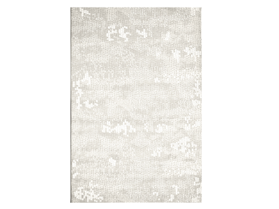 ABRUZZO Collection 5'X8' Rug Made of Polypropylene - C60BIRC2310058