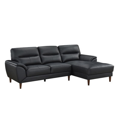 Ryan Leather 2PC RHF Sofa Chaise in Black - M-9530BLK-K