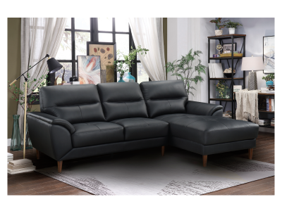 Ryan Leather 2PC RHF Sofa Chaise in Black - M-9530BLK-K